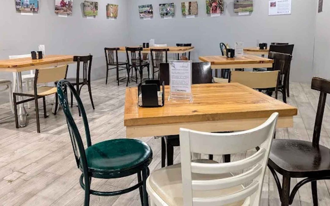 Pionero Coffee Roasters